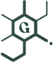 Gamma icon.