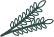 Rosemary leaf icon.