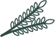 Rosemary leaf icon.