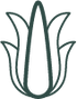 Vitamen E Icon.